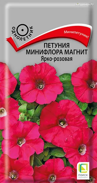Петуния минифлора Магнит Ярко-розовая 10, Поиск