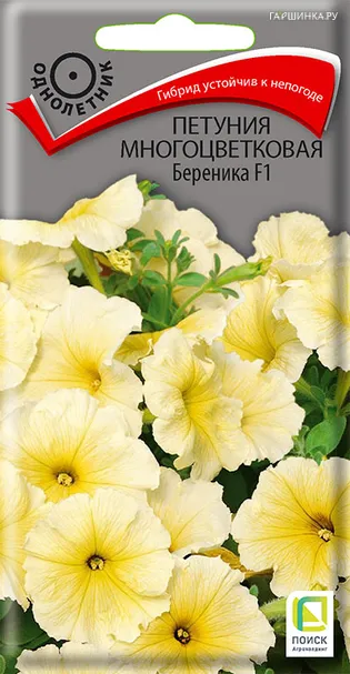 Петуния многоцветковая Береника F1 20, Поиск