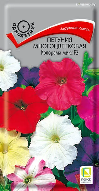 Петуния многоцветковая Колорама микс F2 0,1, Поиск