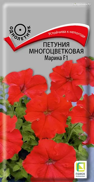 Петуния многоцветковая Марика F1 20, Поиск