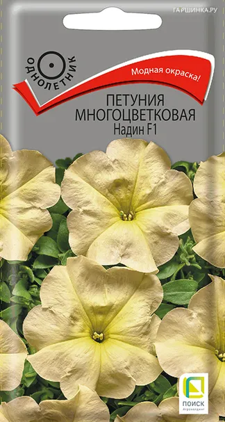 Петуния многоцветковая Надин F1 20, Поиск