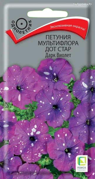 Петуния мультифлора Дот Стар Дарк Виолет 10, Поиск