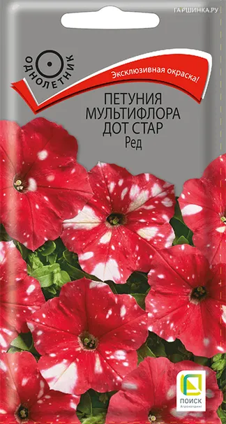 Петуния мультифлора Дот Стар Ред 10, Поиск