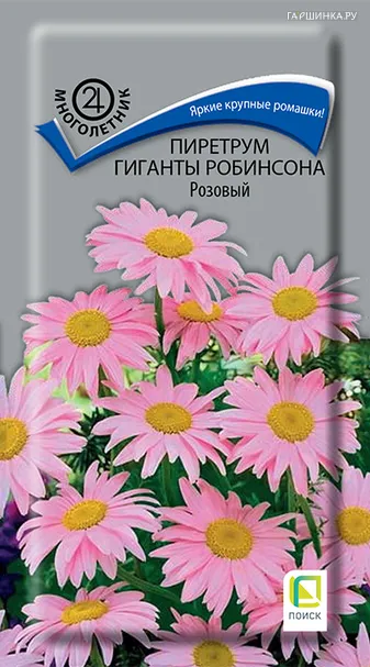 Пиретрум Гиганты Робинсона Розовый 0,1, Поиск