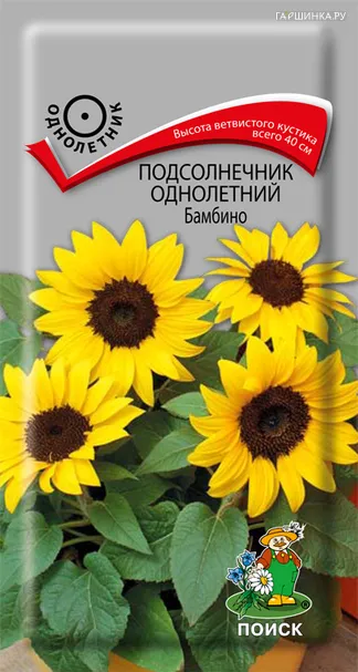 Подсолнечник Бамбино 0,5 г Поиск