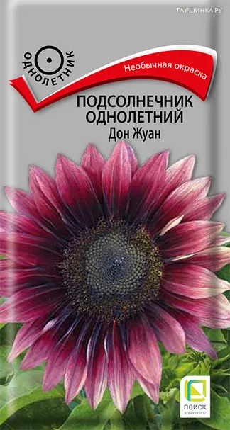 Подсолнечник Дон Жуан однолетний 0,3 г, Поиск