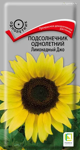 Подсолнечник однолетний Лимонадный Джо 0,3, Поиск