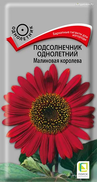 Подсолнечник Малиновая королева однолетний 0,5 г, Поиск