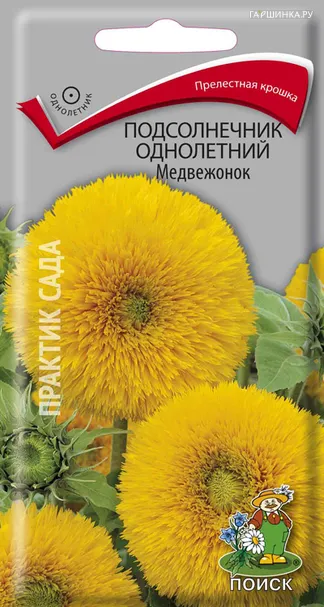 Подсолнечник Медвежонок однолетний 0,5 г, Поиск
