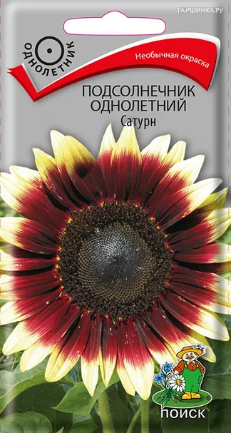 Подсолнечник Сатурн однолетний 0,3 г, Поиск