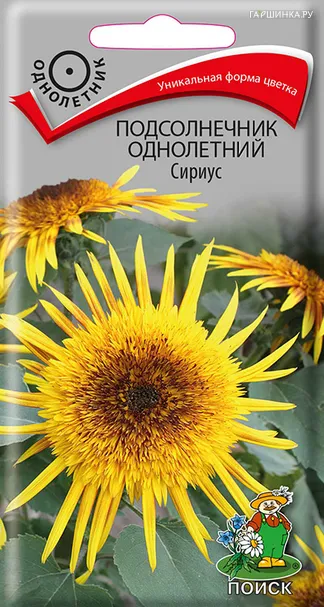Подсолнечник однолетний Сириус 0,3, Поиск