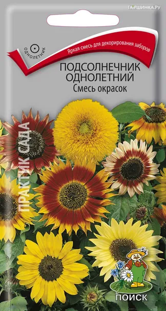 Подсолнечник однолетний Смесь окрасок 1, Поиск