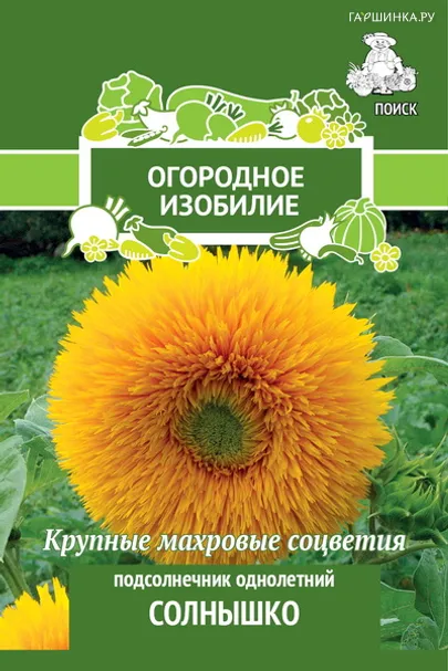 Подсолнечник Солнышко однолетний 0,5 г, Поиск