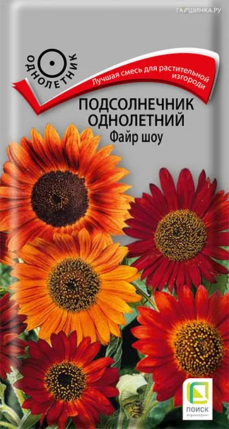 Подсолнечник однолетний Файр шоу 0,5, Поиск