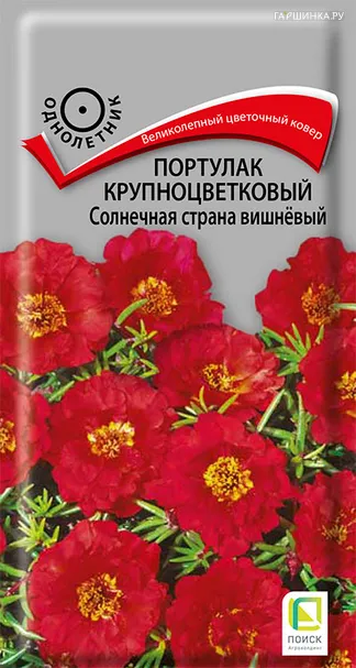 Портулак Солнечная страна вишневый крупноцветковый 0,1 г, Семена Поиск
