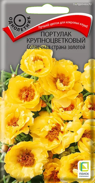 Портулак крупноцветковый Солнечная страна золотой 0,1, Поиск