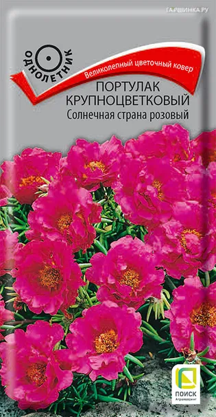 Портулак крупноцветковый Солнечная страна розовый 0,1, Поиск