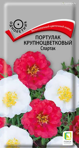 Портулак крупноцветковый Спартак 0,1, Поиск