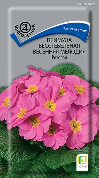 Примула бесстебельная Весенняя мелодия Розовая 10, Поиск