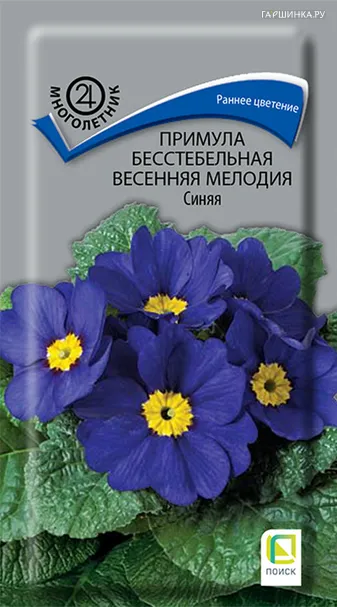 Примула бесстебельная Весенняя мелодия Синяя 10, Поиск