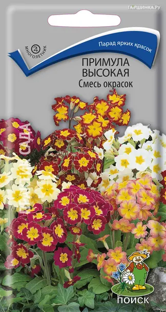 Примула высокая Смесь окрасок 0,01, Поиск