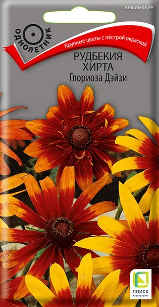 Рудбекия Хирта Глориоза Дэйзи 0,1 г, Семена Поиск