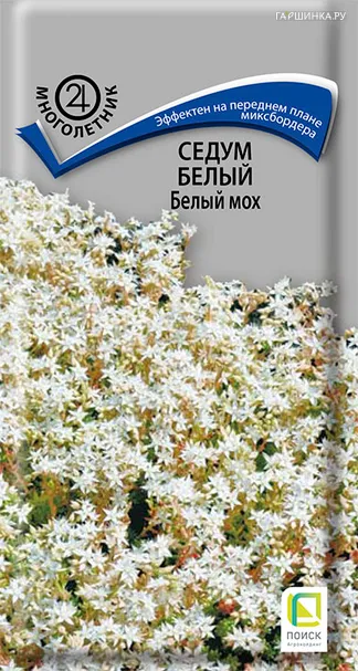 Седум Белый мох белый 0,01 г, Семена Поиск