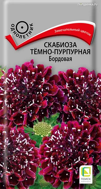 Скабиоза темно-пурпурная Бордовая 0,2, Поиск