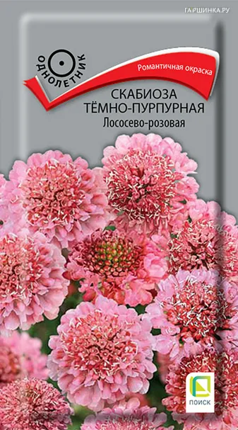 Скабиоза темно-пурпурная Лососево-розовая 0,2, Поиск