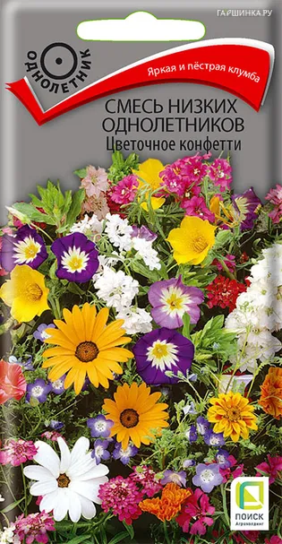 Смесь низких однолетников Цветочное конфетти 0,5, Поиск