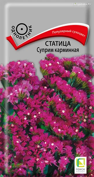 Статица Суприм карминная 0,15, Поиск