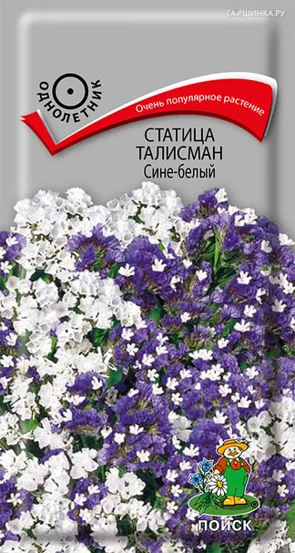 Статица Талисман Сине-белый 0,1, Поиск