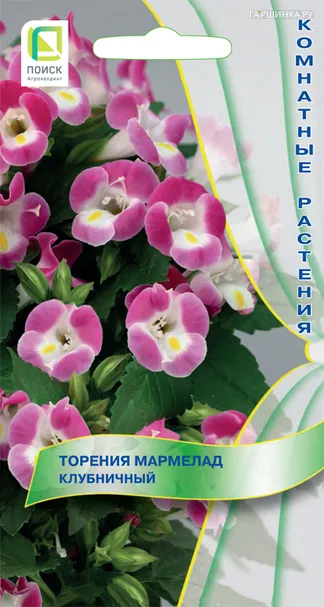 Торения Мармелад Клубничный 5, Поиск