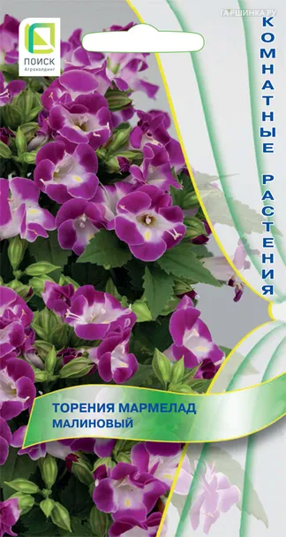 Торения Мармелад Малиновый 5, Поиск