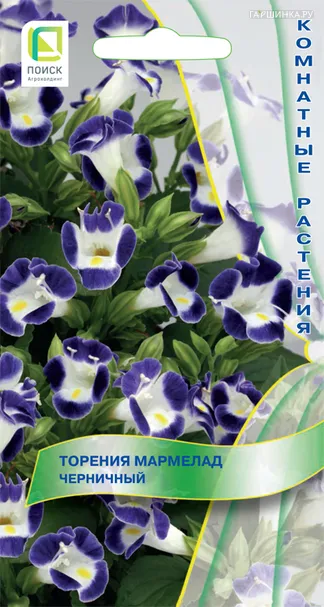 Торения Мармелад Черничный 5, Поиск