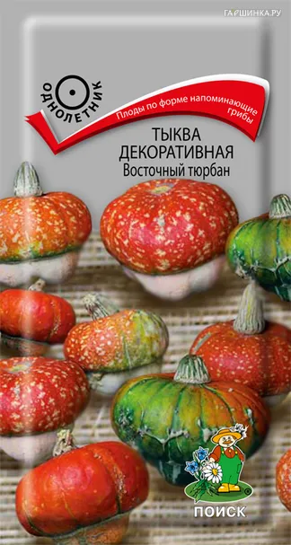 Тыква декоративная Восточный тюрбан 5, Поиск
