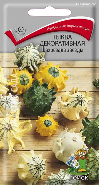 Тыква Шахрезада звезды декоративная 5 шт, Семена Поиск