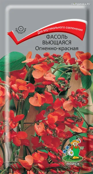 Фасоль вьющаяся Огненно-красная 5, Поиск