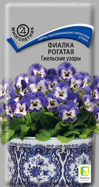 Фиалка рогатая Гжельские узоры 10, Поиск