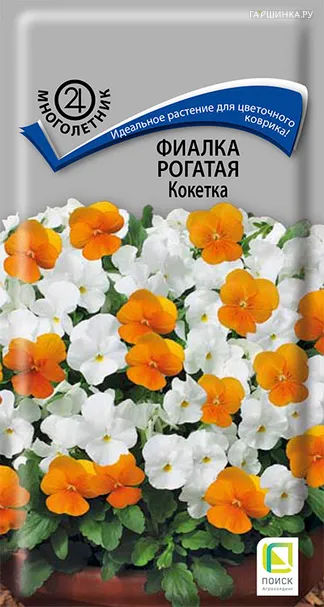 Фиалка рогатая Кокетка 0,1, Поиск