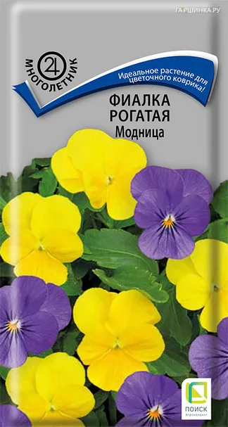 Фиалка рогатая Модница 0,1 г, Семена Поиск