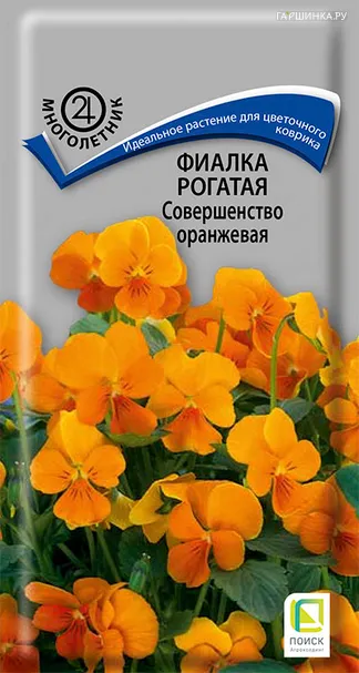 Фиалка рогатая Совершенство оранжевая 0,1, Поиск