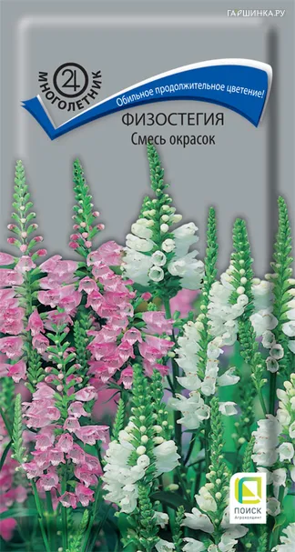 Физостегия Смесь окрасок 0,1, Поиск