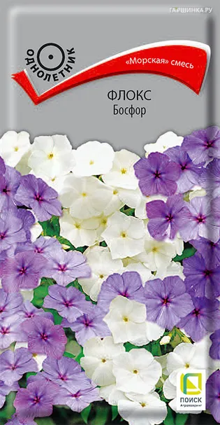 Флокс Босфор 0,1, Поиск