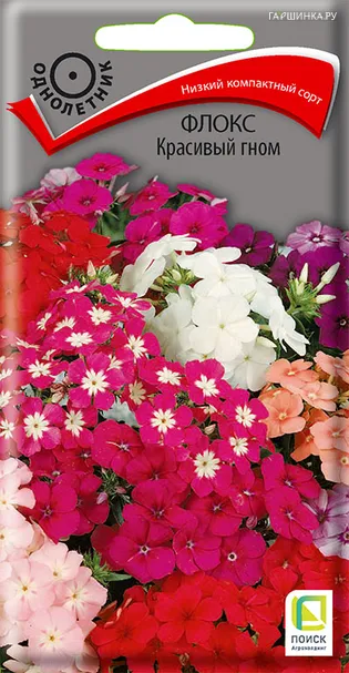 Флокс Красивый гном 0,2, Поиск