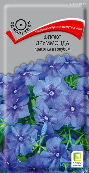Флокс друммонда Красотка в голубом 0,1, Поиск
