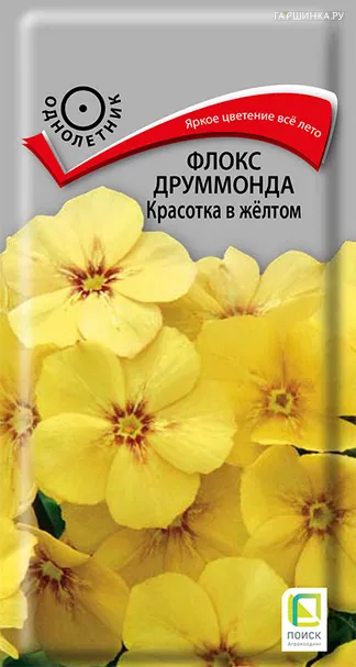 Флокс друммонда Красотка в желтом 0,1, Поиск