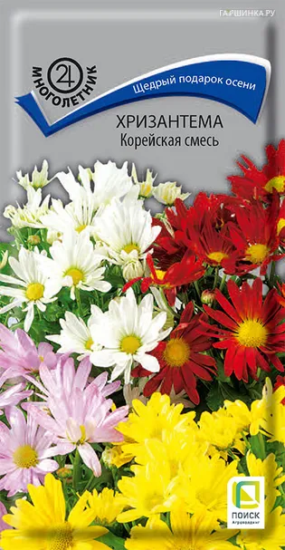 Хризантема Корейская смесь 0,05, Поиск