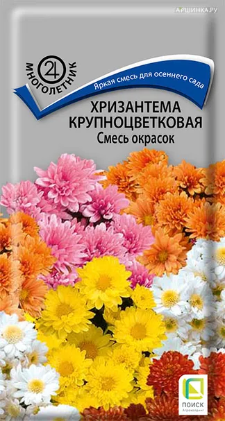 Хризантема крупноцветковая Смесь окрасок 0,05, Поиск