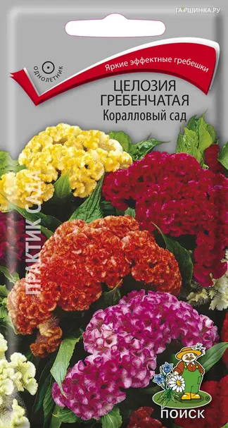 Целозия гребенчатая Коралловый сад 0,1, Поиск